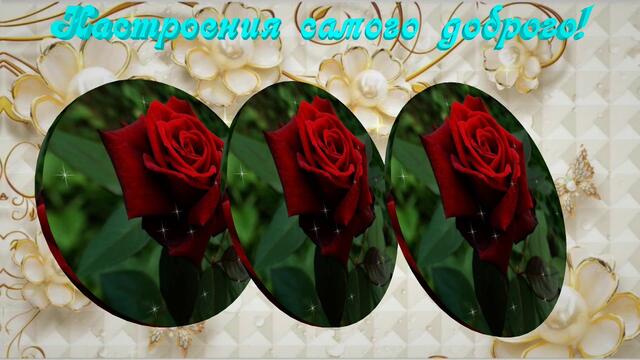 Пожелание с Добрым утром и хорошего настроения