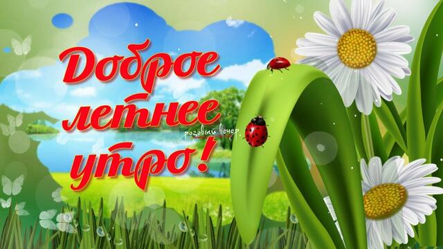 С ДОБРЫМ ЛЕТНИМ УТРОМ!!! Хорошего летнего настроения!!!