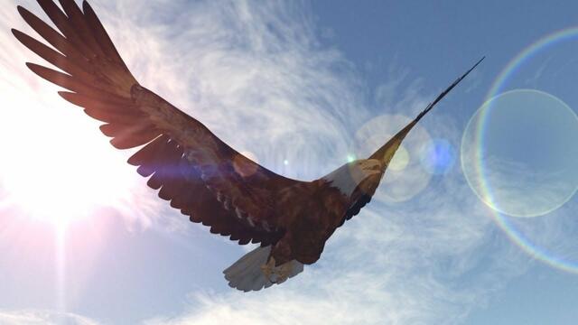 Вячеслав Анисимов    -    Я ПОТЕРЯЛ СВОЙ РАЙ!