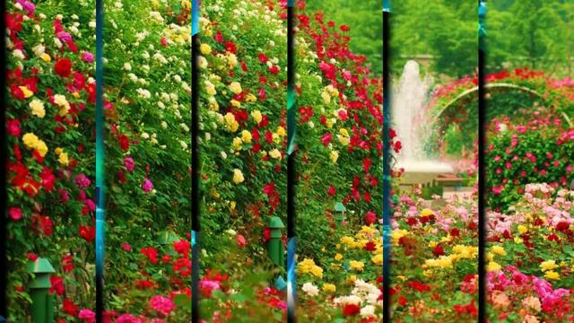 Виктор КОРОЛЁВ - « Ты Одна»