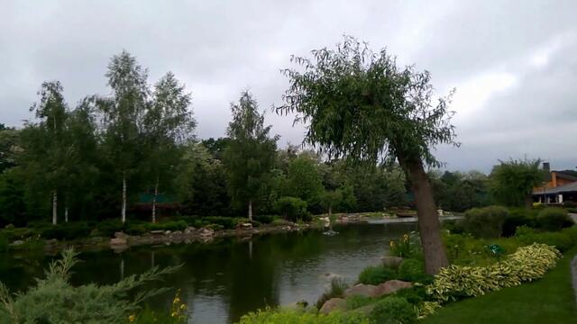 Николай  Берег   -    СТО  ДОРОГ