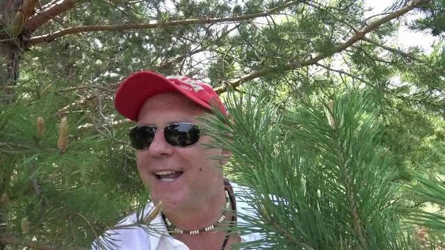 Валерий Палаускас   -   ПОГАДАЙ ЦЫГАНКА МНЕ!