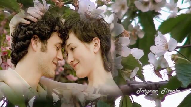 Открой свое сердце