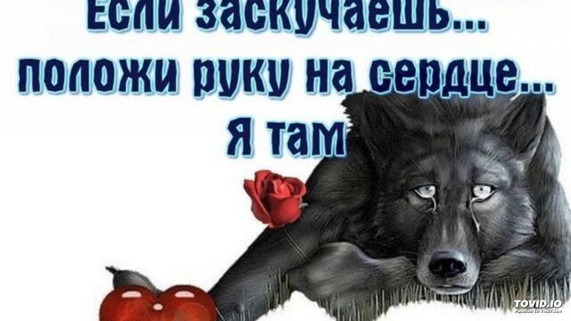 Я ПОГЛАЖУ ВОЛОСЫ ТВОИ