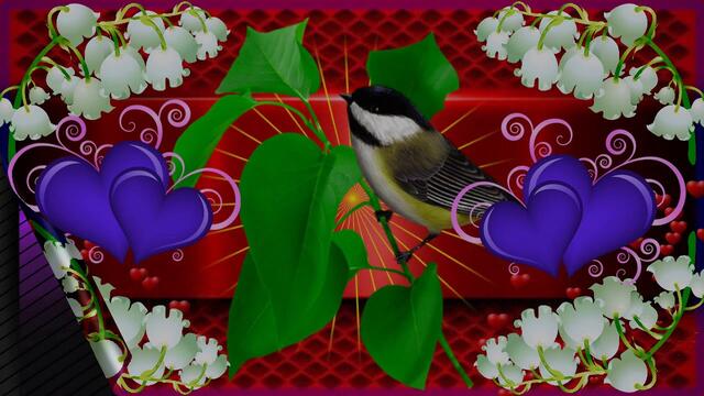 Доброе утро. Хорошего настроения! Музыки Сергей Чекалин.