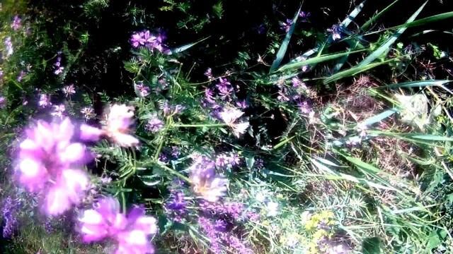 Музыка Сергей Грищук   -   ПРОБУЖДЕНИЕ