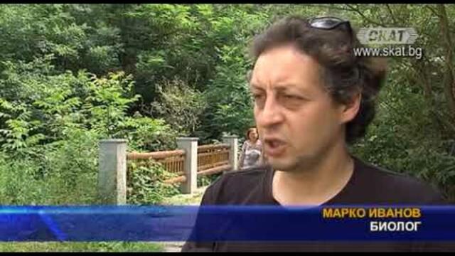 Повод ли са за паника змиите в градски условия