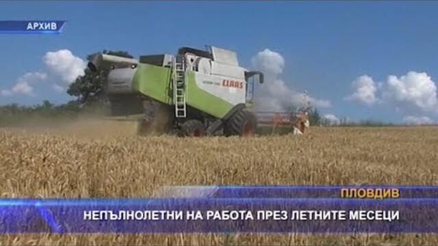 Непълнолетни на работа през летните месеци