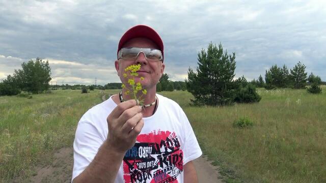 Валерий Палаускас  -  Полев Цветыые