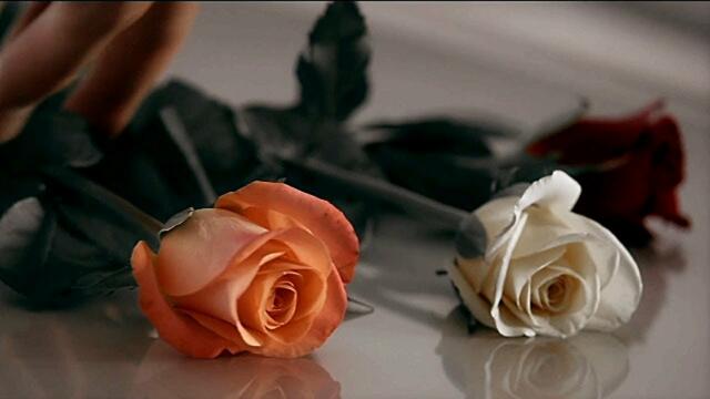 Alexandra Stan feat. Havana - Ecoute ✦ Dj Arsen Remix 2019 (MUSIC VIDEO)