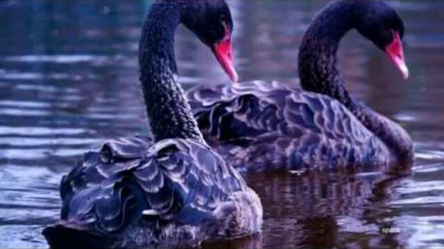 Сергей Чекалин  -  Вода и камъни