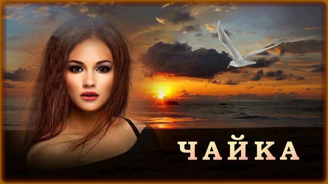 Айдамир Эльдаров и Вадик Тластанкулов - Чайка