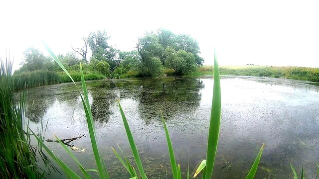 Музыка Сергей Грищук   -   Я БУДУ ПОМНИТЬ