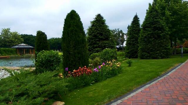 Николай  Берег   -   ТРИ  БЕРЕЗЫ