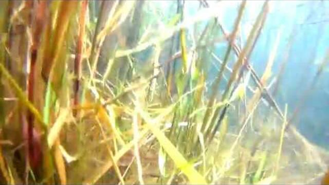 Музыка Сергей Грищук  -   НОЧЬ