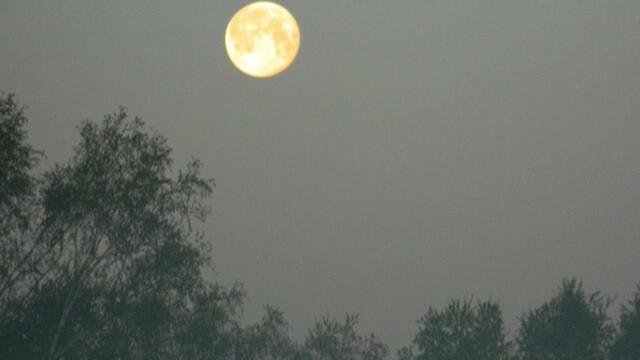 Сергей Орлов  -  НОЧЬ