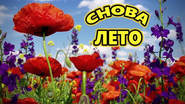 Сергей  Вольный   -   В ДЕРЕВНЮ