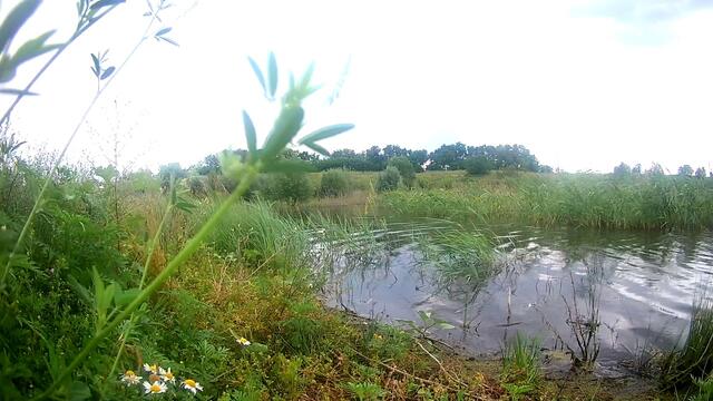 Музыка Сергей Грищук  -  ЗАКАТ