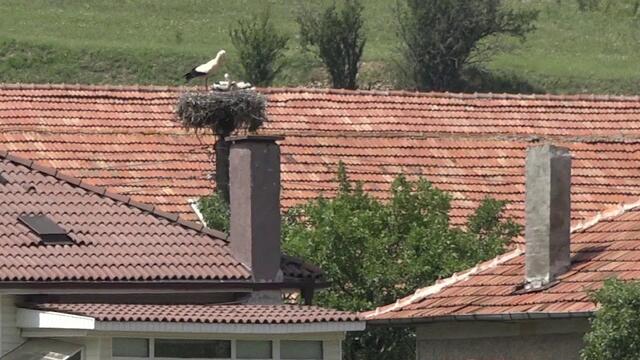 Село Петрич