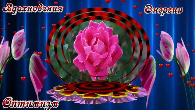 Красивое пожелание.Только для тебя!