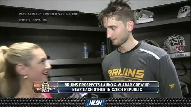 Две перспективи на Bruins се издигнаха близо до друга в Чехия