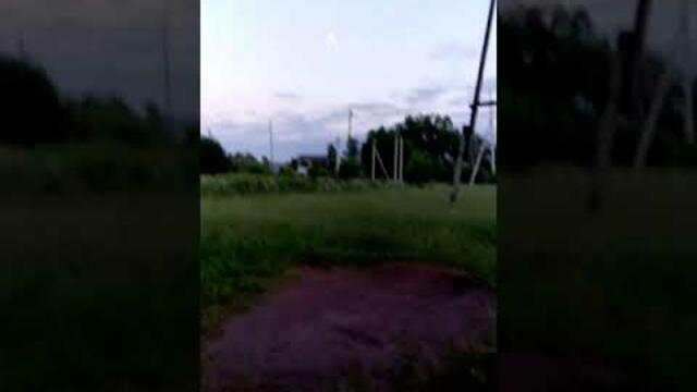 Немецкий боксёр Демон на полнолуние