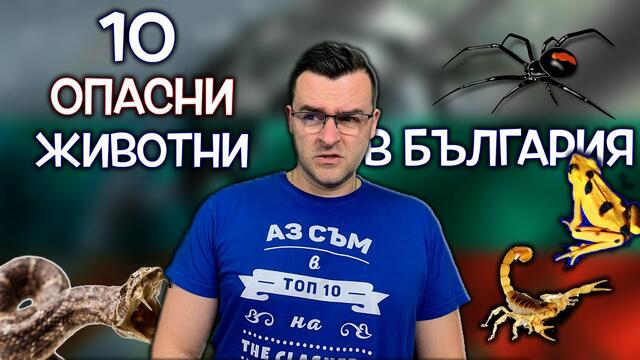 10 от Най-опасните животни, които се срещат в България
