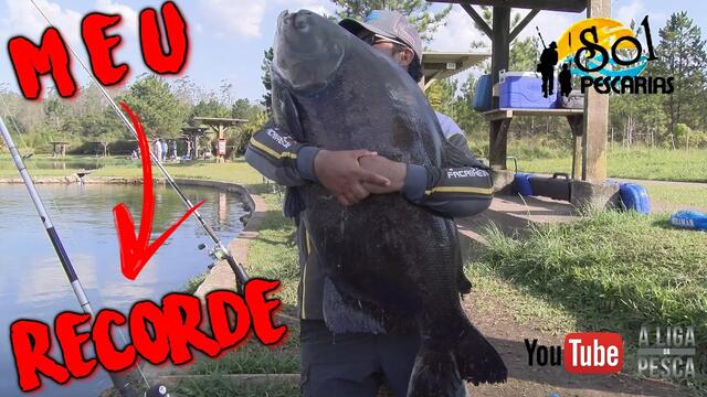 GIGANTE, MEU RECORDE !!