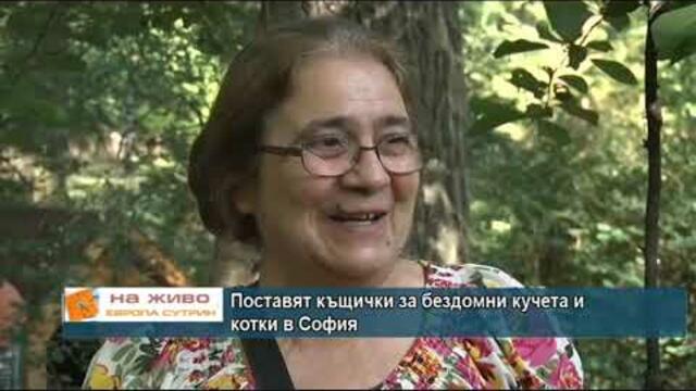 Поставят къщички за бездомни кучета и котки в София