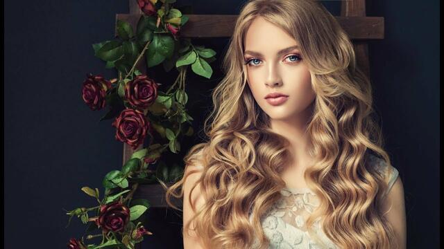 Александр Закшевский - Ночка