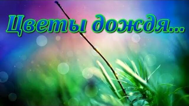 "Цветы дождя..."
