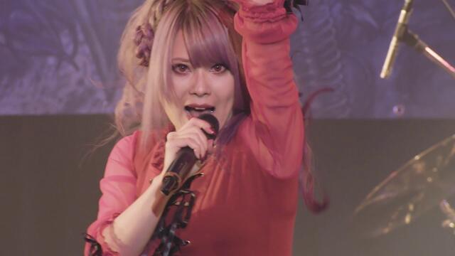 [Official Live Video]Unlucky Morpheus - 「Knight of Sword」