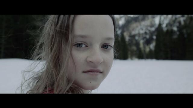 MOLLY - Vogelnest (Official Video)