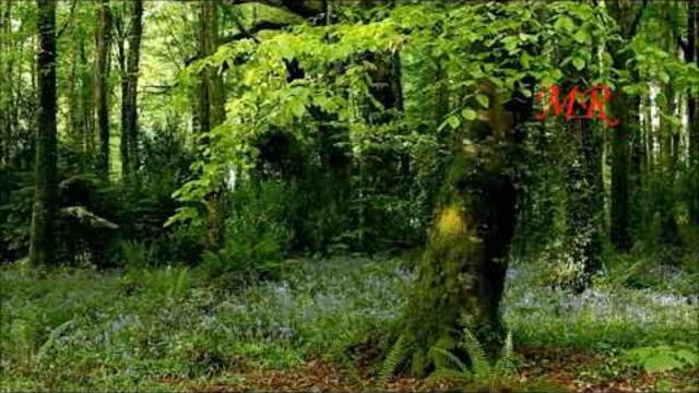 ШАНСОН Очень красивые ПЕСНИ!