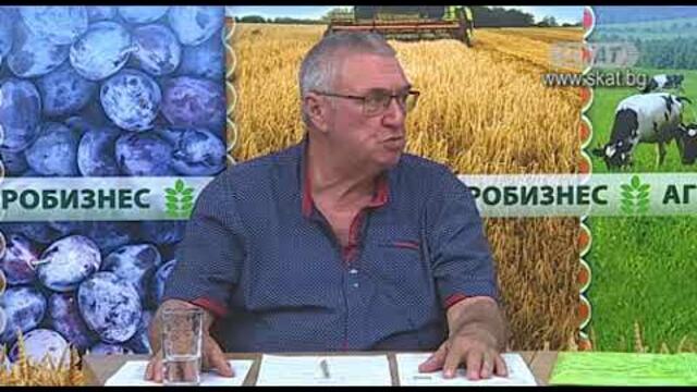 Последни възможности за малки проекти! Отглеждане на риба или проект по ВОМР(МИГ)