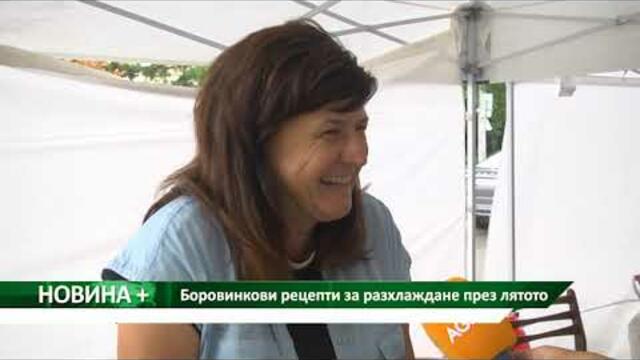 Новина плюс: Боровинкови рецепти за разхлаждане през лятото, автор: Камелия  Карадочева