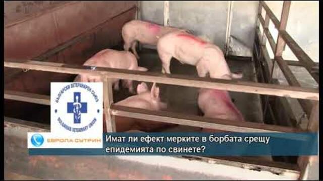 Какви мерки трябва да се предприемет, за да спре разпространението на африканската чума по свинете