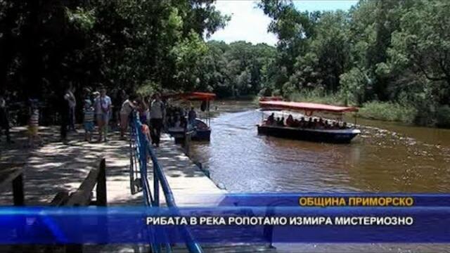 Рибата в р. Ропотамо измира мистериозно