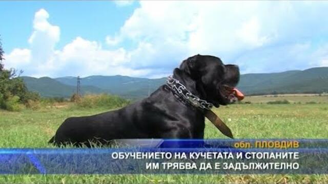 Обучението на кучетата и стопаните им трябва да е задължително