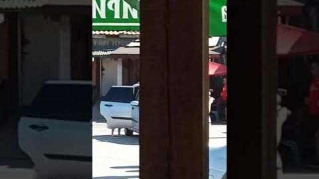 Кючека скорост