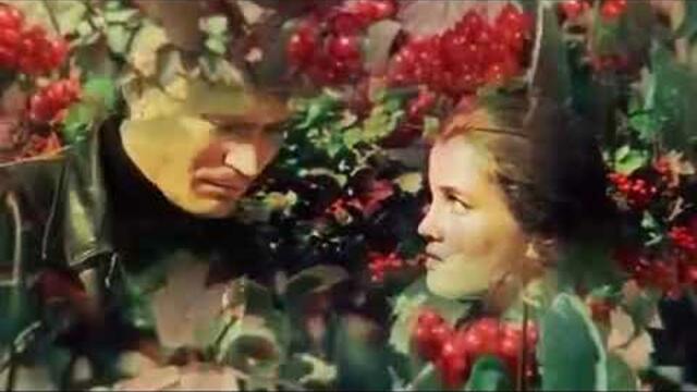 Алена Андерс   -    РЯБИНА