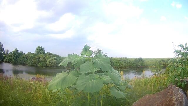 Музыка Сергей Грищук     -    МУЗЫКА ХОРОШЕГО НАСТРОЕНИЯ