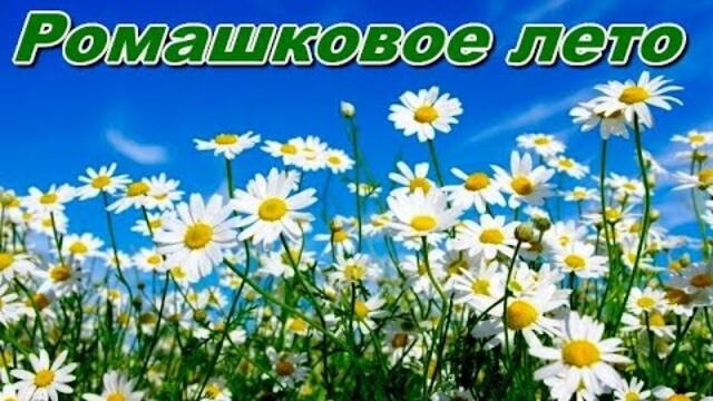 "Ромашковое лето"