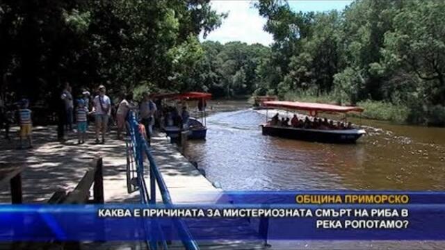 Каква е причината за мистериозната смърт на риба в р. Ропотамо?
